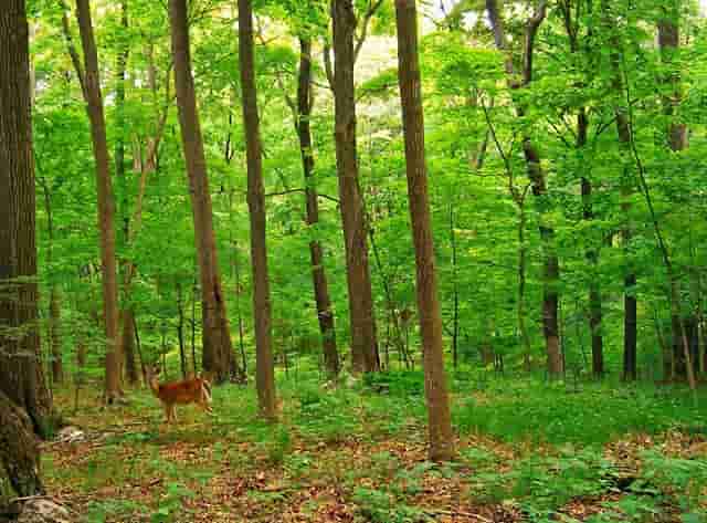 对宣讲员的主要工作