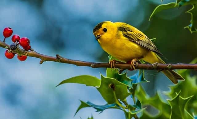 卧室衣架价格图片
