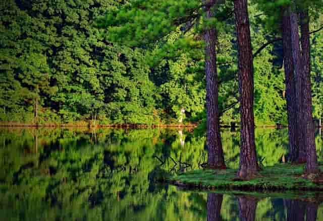 清华大学怎么样才能考好成绩