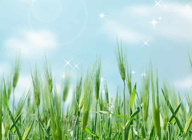 高考后去哪些大学好